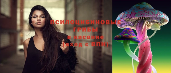 гидропоника Алзамай