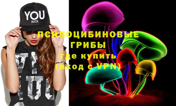 гидропоника Алзамай