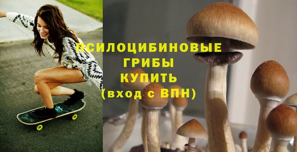 Альфа ПВП Алексеевка